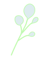 back leaf